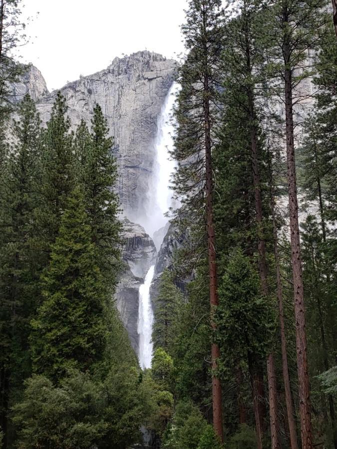 Yosemite Foothill Retreat - Private Guest Suite #2 Coarsegold Luaran gambar